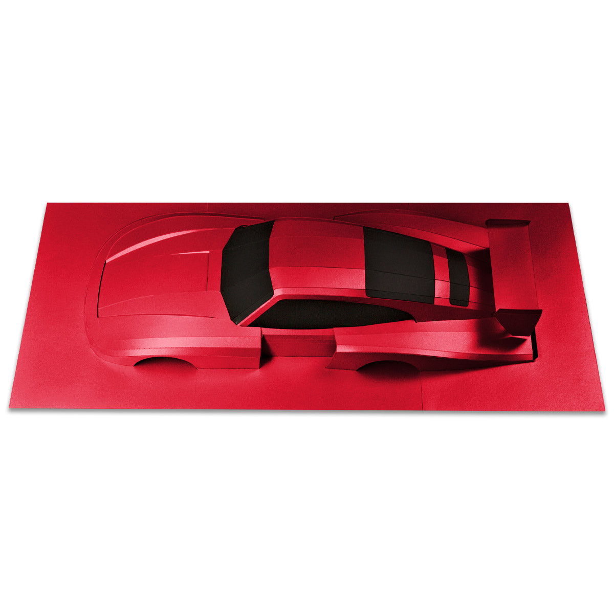 Whale Tail - Papercraft kit - Wall Sculpture 70 cm