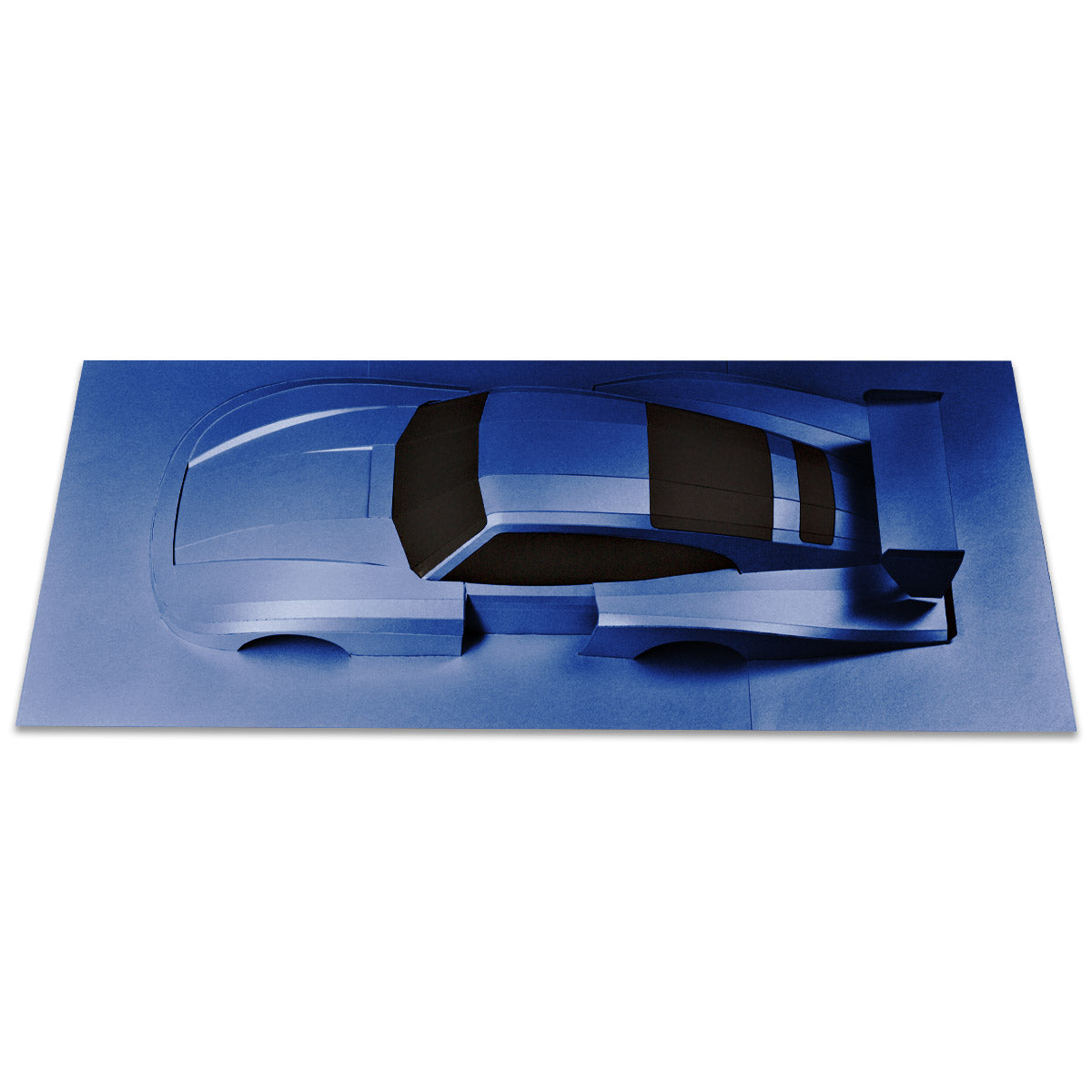 Whale Tail - Papercraft kit - Wall Sculpture 70 cm