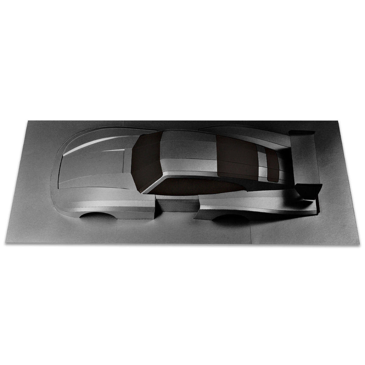 Whale Tail - Papercraft kit - Wall Sculpture 70 cm