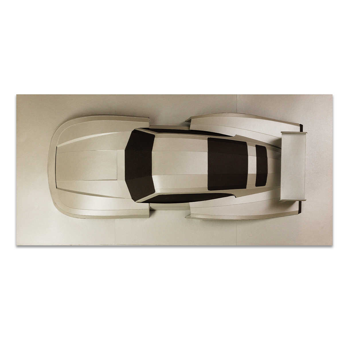 Whale Tail - Papercraft kit - Wall Sculpture 70 cm
