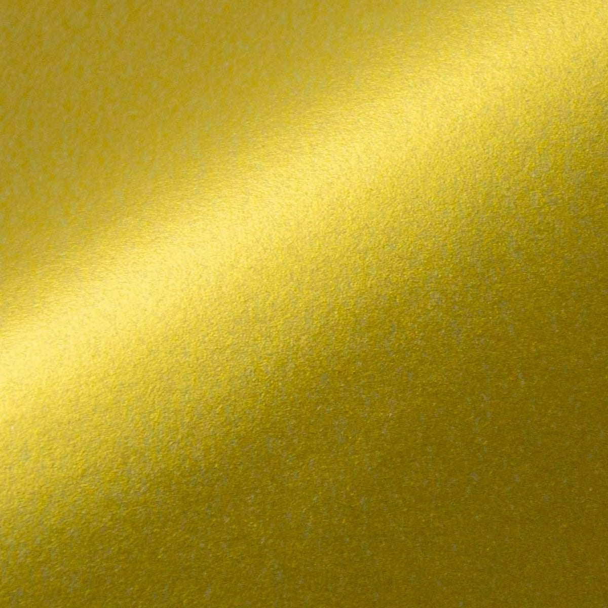 Rally Legend Wall Sculpture 1:8 - Metallic Paper Detail